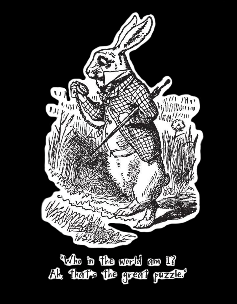rabbit